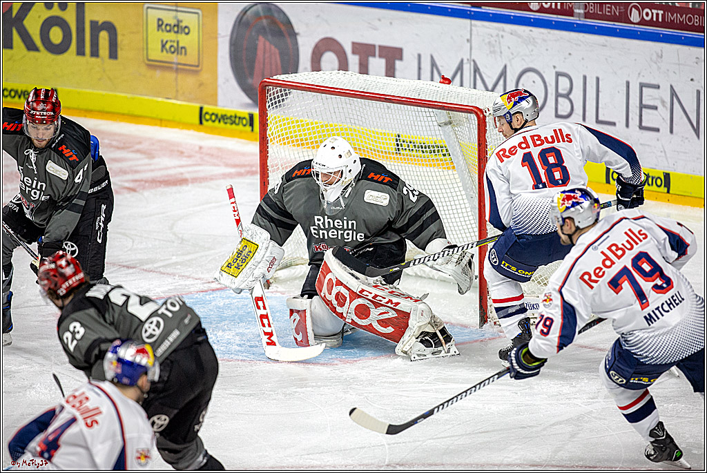 DEL; Koelner Haie - EHC Red Bull Muenchen, 17.02.2019